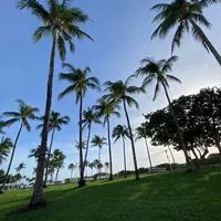 original sound - nnflorida