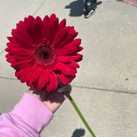 estefany_de_leon_502