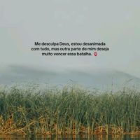frases5607