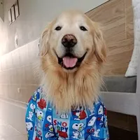 original sound - romeo_el_precioso