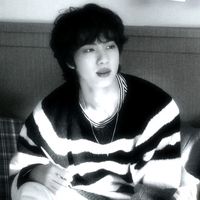 userhjinbts