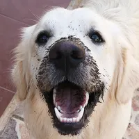 Y comienza el combate