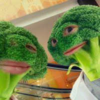 majooandjulii