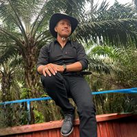 sonido original