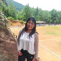 anhay.502