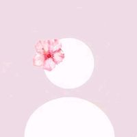 mar__ar.17