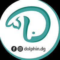dolphin.dg