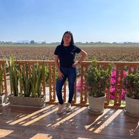 massielitaone