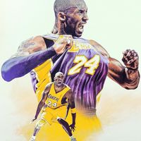 basketball81243