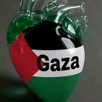 abu.obaida02