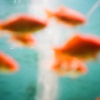 original sound - 𓇼