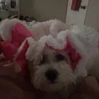 Original sound got taken down