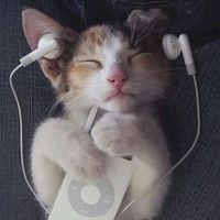 оригинальный звук