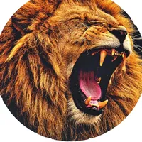 original sound - bnrmotivacao