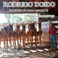 rodrigoguirau1