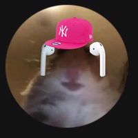 having_fun_with_my_life