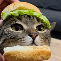 original sound - ringodanyan