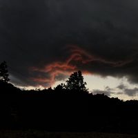 mateomazariegos55gmail.c