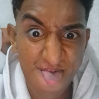 magull_