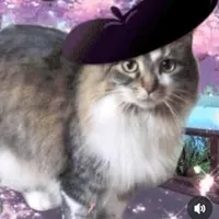 give me credit for this