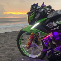 wilbiker31