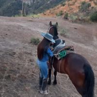 belenpino13