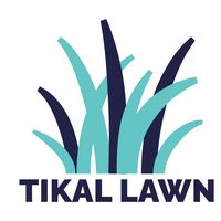 tikal_lawn