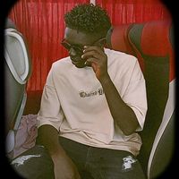 user20368419238374