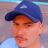 fabim282