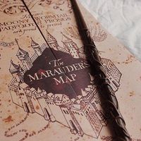 pottertexts3
