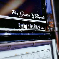 original sound - pasionxlosbuses_oficial