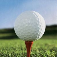 facelessfairways