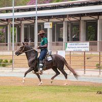 guilherme.augusto20064