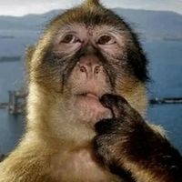 original sound - Jack