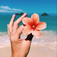 aesthetic__189