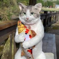 www.tiktok.tghobby