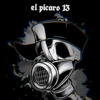 elpicaro13y