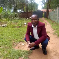 original sound - rennylineelectricals2