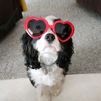 idk any of yalls anime comfort characters