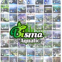suara asli - Bisma aquatic pasuruan