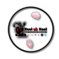 xel.ak.xool