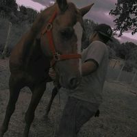 diegocortina6