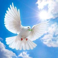 sonido original - Jesús es luz Mx