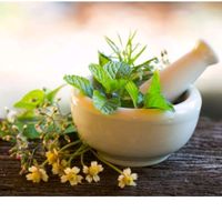 dicas.rapidas.naturais