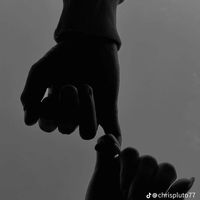 lovers__line