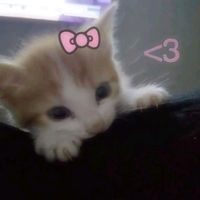 iam_mila06