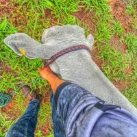 original sound - cristhian_parana