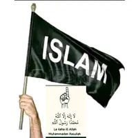 original sound - sinarecheikh1