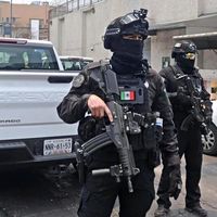 bravo.lima100