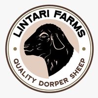 lintari.farms